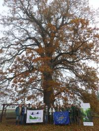 2017. November 8-9 Foresters' field trip to the ?rség region in Hungary